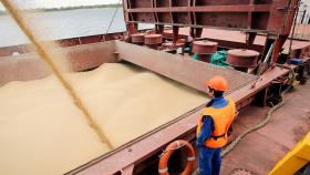Минсельхоз назвал приоритетные рынки для российских экспортёров пшеницы